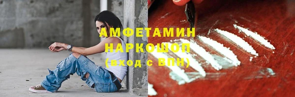 СК Алексин