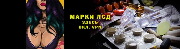 СК Алексин