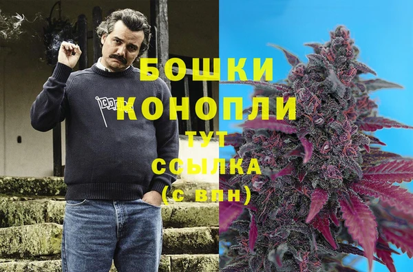 СК Алексин
