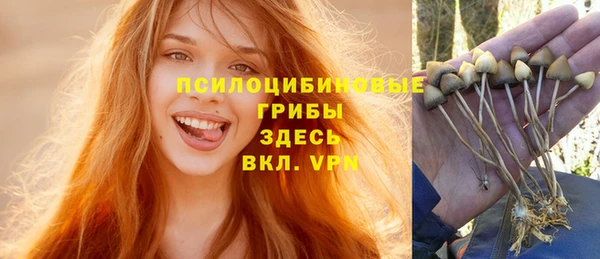 СК Алексин